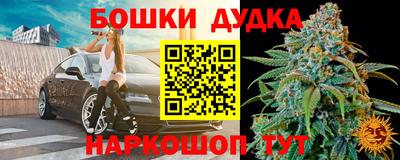 индика Моздок