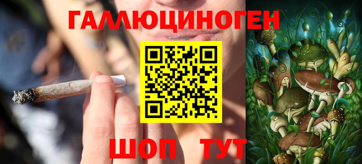 Галлюциногенные грибы прущие грибы Щёлково